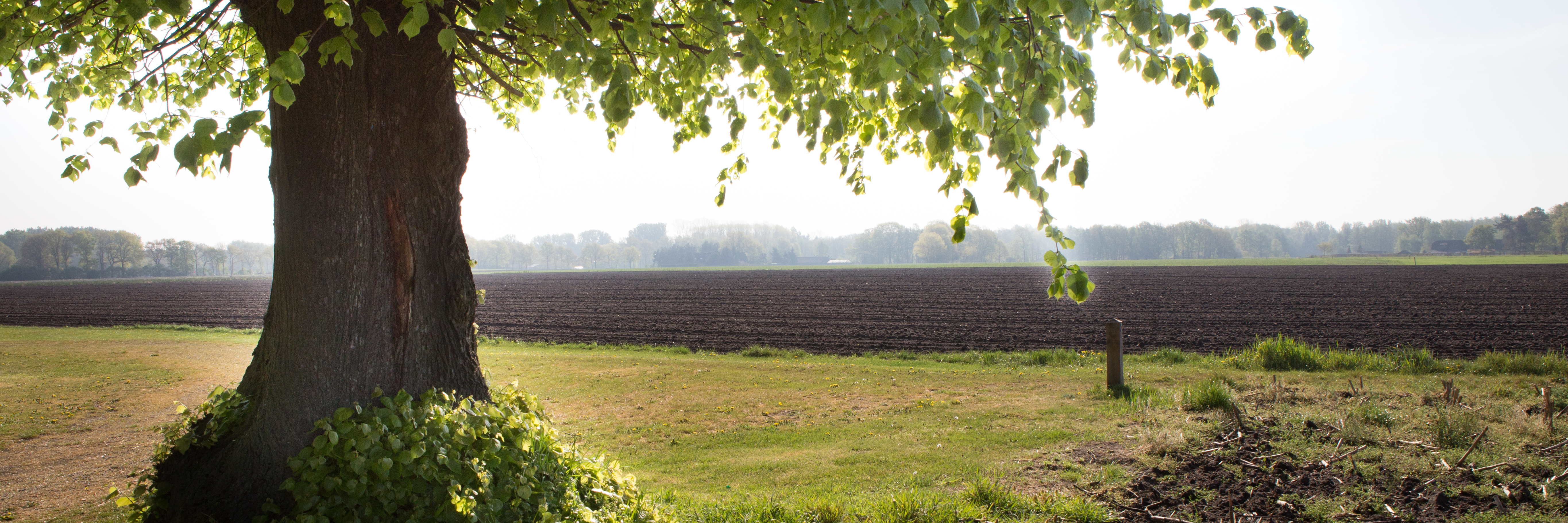 Landbouw Hoksent-Molhem