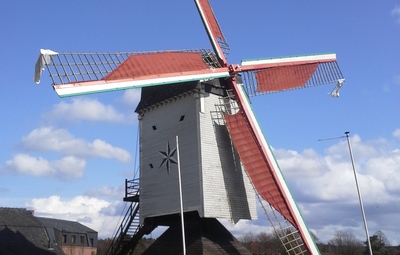 Bezoek de Stermolen - Molendag Limburg 29/06 (10-17u)