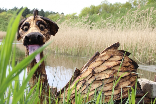 Wazdeddo monster op de vijver van Resterheide