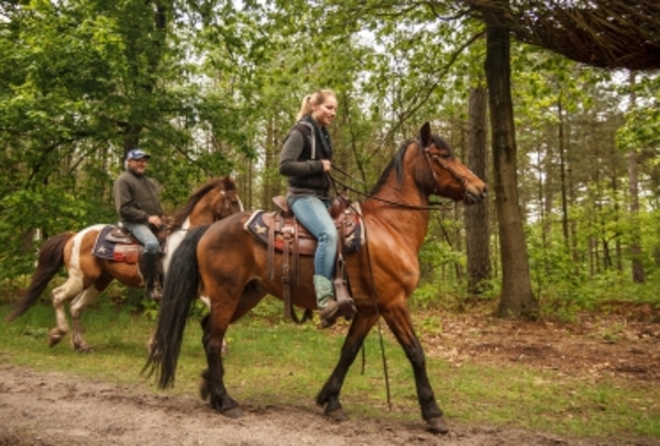 Foto van de ijzeren paal