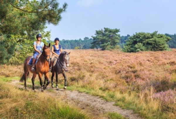 Ruiters op de heide 