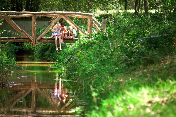 Familie op een brugje over de Dommel