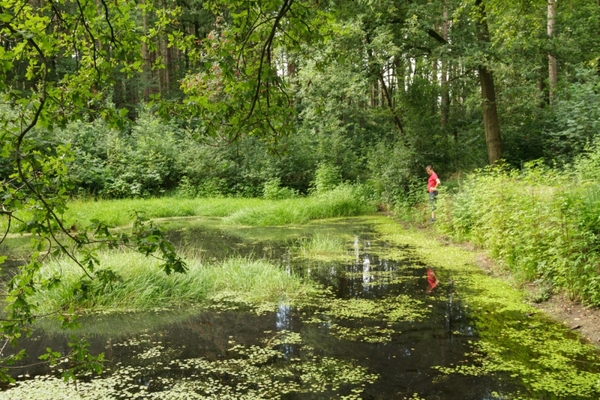 In den Brand Kattenpoelke