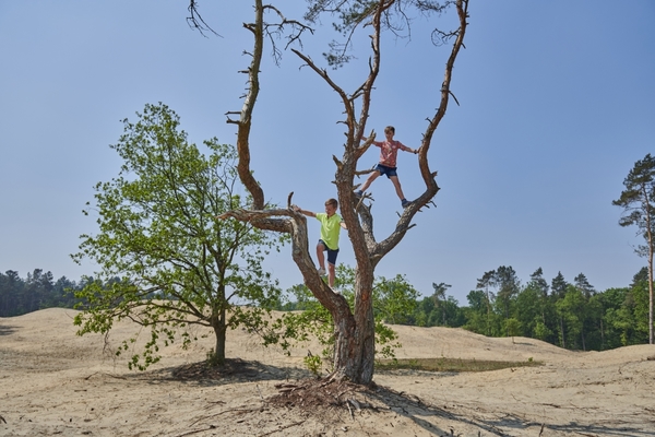  2 kinderen in een boom In den brand