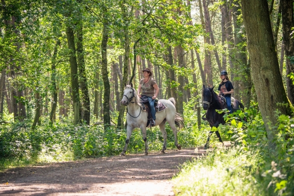 Ruiters in het bos